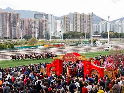 Year of the Horse Raceday Year of the Horse Raceday