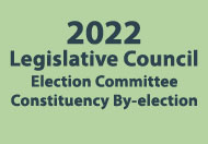 2022 Legislative Council Election Committee Constituency By-election